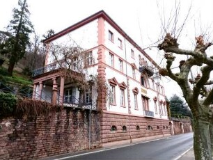 Heidelberg-Neuenheim Ziegelhäuser Landstraße 63