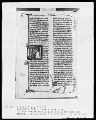 Lateinische Bibel, drei Bände — Initiale V (ocavit autem Moysen), darin Opferung von Tieren, Folio 60verso