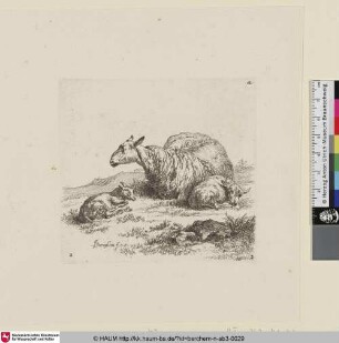 [Liegendes Schaf nach links mit zwei Lämmern; The Set of the Sheep, 2; Une brébis couchée [...] accompagnée de deux agneaux [...]]