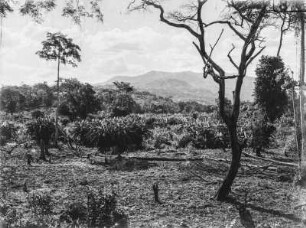 Landschaft : Blick über eine Ebene auf die bergige Landschaft
