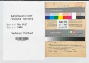 Entnazifizierung Reinhold Dreihaupt , geb. 03.11.1884 (Beamter)