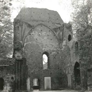 Greifswald-Eldena. Ruine der Klosterkirche St. Maria. Querhausflügel von Nordwesten
