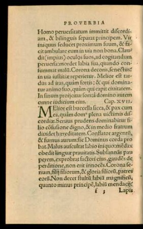 Cap. XVII.