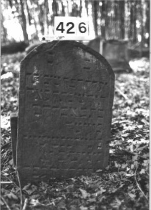Grabstein 426 (Index: 99898251) Material: Sandstein Zustand: angewittert, etwas eingesunken Maße HxBxT: 100x47x8 cm Beschreibung: Stele mit Segmentbogenabschluss, etwas eingesunken Besonderheit: Kindergrab: Grabstein 426