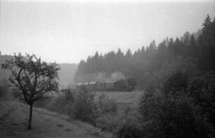 Lok 141, am Haltepunkt Trillfingen