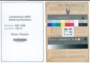 Entnazifizierung Theodor Gross , geb. 23.04.1898 (Verwaltungsbeamter)