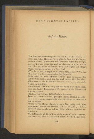 Neunzehntes Kapitel Auf der Flucht