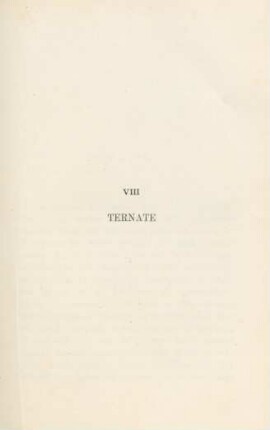 VIII Ternate