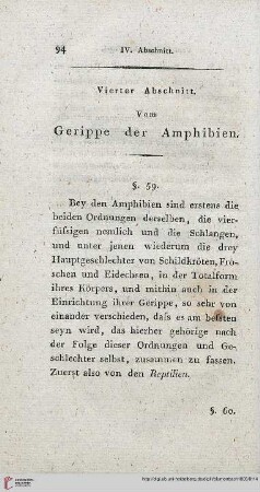 Vierter Abschnitt: Vom Gerippe der Amphibien