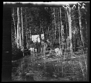 Komaika-Stellung (=Kamaja/Kamoja, Gewässer in Litauen): aufgehängte Wäsche und Tauwasser im "Wald hinter der Komaika-Stellung"