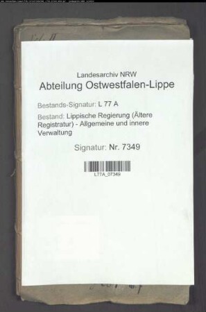 Magazinlieferungen aus dem Amt Detmold, Vogtei Detmold und Falkenberg, Bd. 2