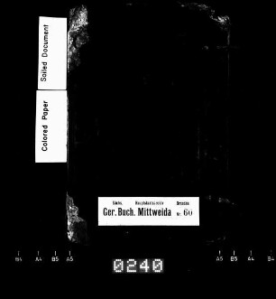 Gerichtshandelsbuch für Erlau und Frankenau, Bd. 2