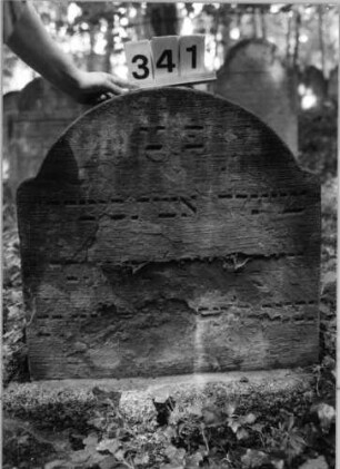 Grabstein 341 (Index: 99803531) Material: Sandstein Zustand: abgeblättert/Textverlust Maße HxBxT: 86x67x9 cm Beschreibung: Sockel, Stele mit Karniesbogen: Grabstein 341
