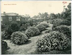 Kalifornien. Garden Scene in California