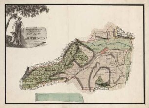 Topographischer Plan über den in dem Amt Stein liegenden Bann Wilferdingen