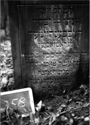 Grabstein 758 (Index: 99802224) Material: Sandstein Zustand: eingesunken Maße HxBxT: 80x53x13 cm Beschreibung: Stele mit eingezogenem Rundbogen und Seitenakroterien Besonderheit: Endreim: Grabstein 758 (Nachholaufnahme)