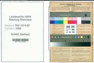 Entnazifizierung Gerhard Schlief , geb. 25.05.1907 (Gaertner)