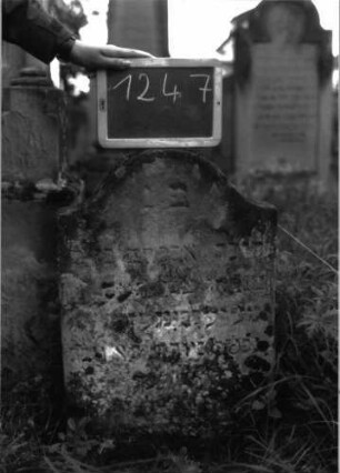 Grabstein 1247 (Index: 100104457) Material: Sandstein Zustand: stark verwittert Maße HxBxT: 77x46x10 cm Beschreibung: Stele mit Konvexbogenabschluss Besonderheit: Kind: Grabstein 1247