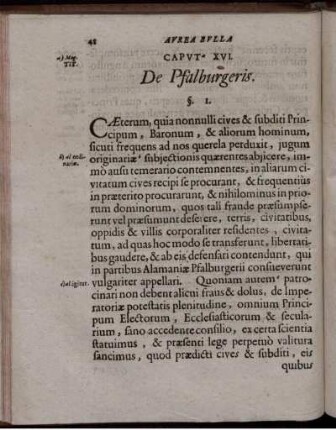 Caput XVI. De Pfalburgeris