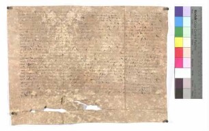 Wilhalm Essig aus Wimpfen schwört, aus dem Gefängnis entlassen, Urfehde.