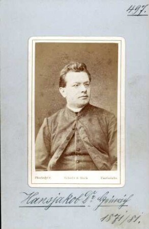 Hansjakob, Heinrich, Zentrum