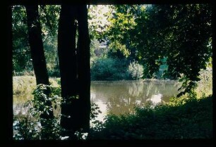 Fehrbellin / Rhin 18.8.78.