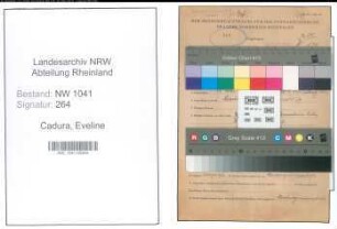 Entnazifizierung Eveline Cadura , geb. 13.05.1906 (Schriftfuehrerin)