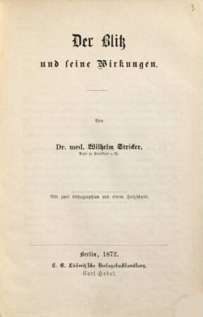 Der Blitz und seine Wirkungen