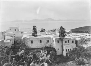 In Sidi Bou Saïd : Häuser in einem Wohnviertel in Sidi Bou Saïd