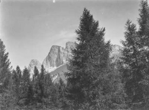 Die Dolomiten : Blick auf ein Gebirge in den Dolomiten mit Tannen im Vordergrund