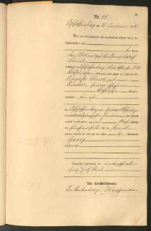 Standesamtsbuch der Stadt Aschaffenburg: Geburten 365/1900 - 184/1901