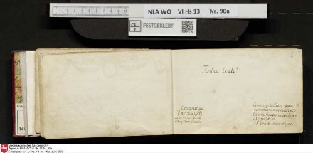 Stammbuch des Ernst Philipp Ludwig Zellmann (1763-1795) aus
                           Braunschweig