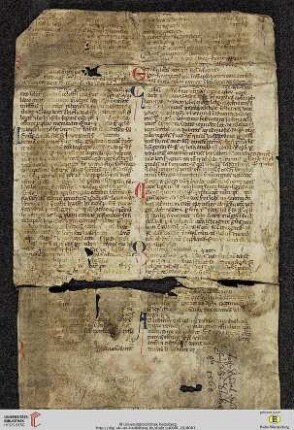 De Presbytero non baptizato; De observatione ieiuniorum; De purificatione post partum; De ecclesiis aedificandis vel reparandistum (Einzelblatt)