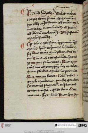 Bernardus Claraevallensis, Dicta (De corpore hominis; De BMV)