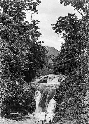 Regenwaldfluss : Blick auf einen Regenwaldfluss im Gebiet Malabos. Im Hintergrund sind die Vorberge des Pico Basile zu erkennen.