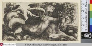 [Putto auf einem Seeungeheuer mit Pferdekopf nach rechts]
