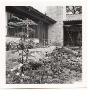 Garten Günther Vollberg, Berlin-Grunewald: Pflanzung am Haus