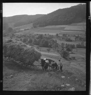 Heuernte im Kinzigtal
