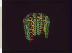 Motility - Movement of Cilia and Flagella