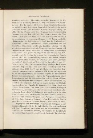 Phylogenie und Morphologie.