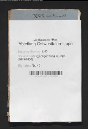 Schwedische Exzesse in den Lippe-Brakischen Ämtern