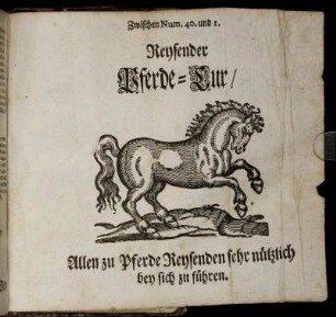 Reysender Pferde- Cur.