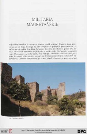 Militaria mauretańskie