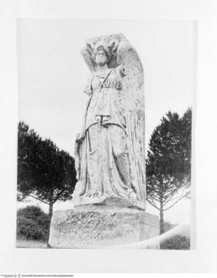 Minerva Vittoria