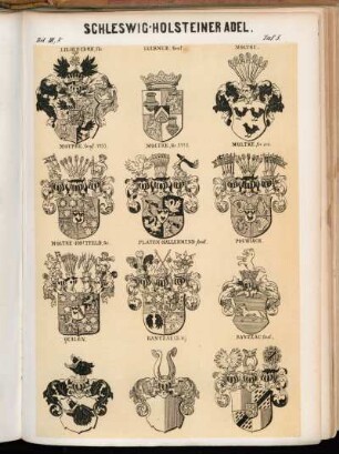 Taf. 5. Liliencron, Fhr. - Luckner, Graf. - Moltke. - Moltke, Graf 1750. - Moltke, Gr. 1776. - Moltke, Gr. and. - Moltke-Hoitfeld, Gr. - Platen-Hallermund, Graf. - Pogwisch. - Qualen. - Rantzau (St. W.). - Rantzau, Graf