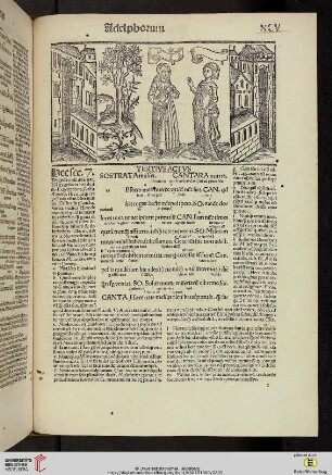 Tertius actus