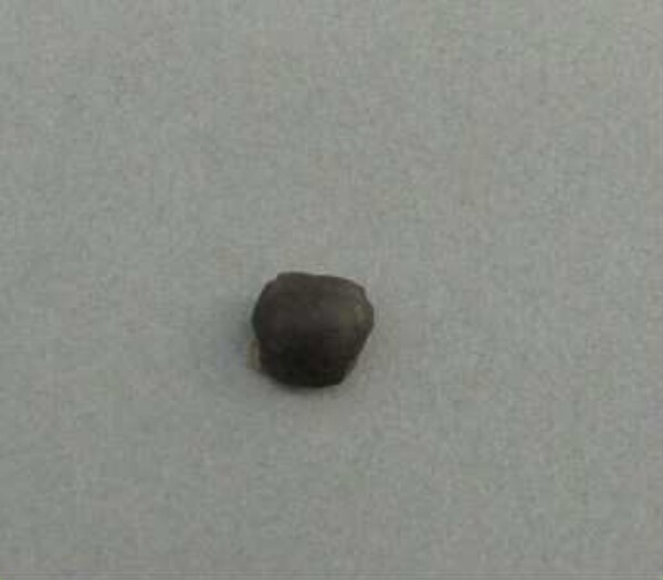 Stone bead