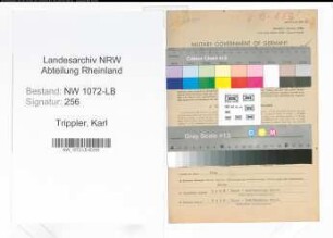 Entnazifizierung Karl Trippler , geb. 17.01.1895 (Automechanikermeister)