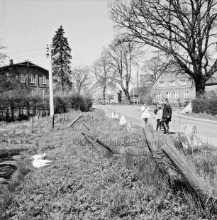 Dorfstraße: Kinder am Straßenrand bei Betrachtung von Gänsen an Teich: hinten Bauernhäuser, Strommast: im Vordergrund Stacheldrahtzaun