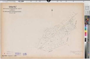 Tungerloh-Pröbsting (Gescher), Umlegung Tungerloh  Weißes Venn, Bl. 9 Urkarte I Tungerloh-Pröbsting Flur 28,8